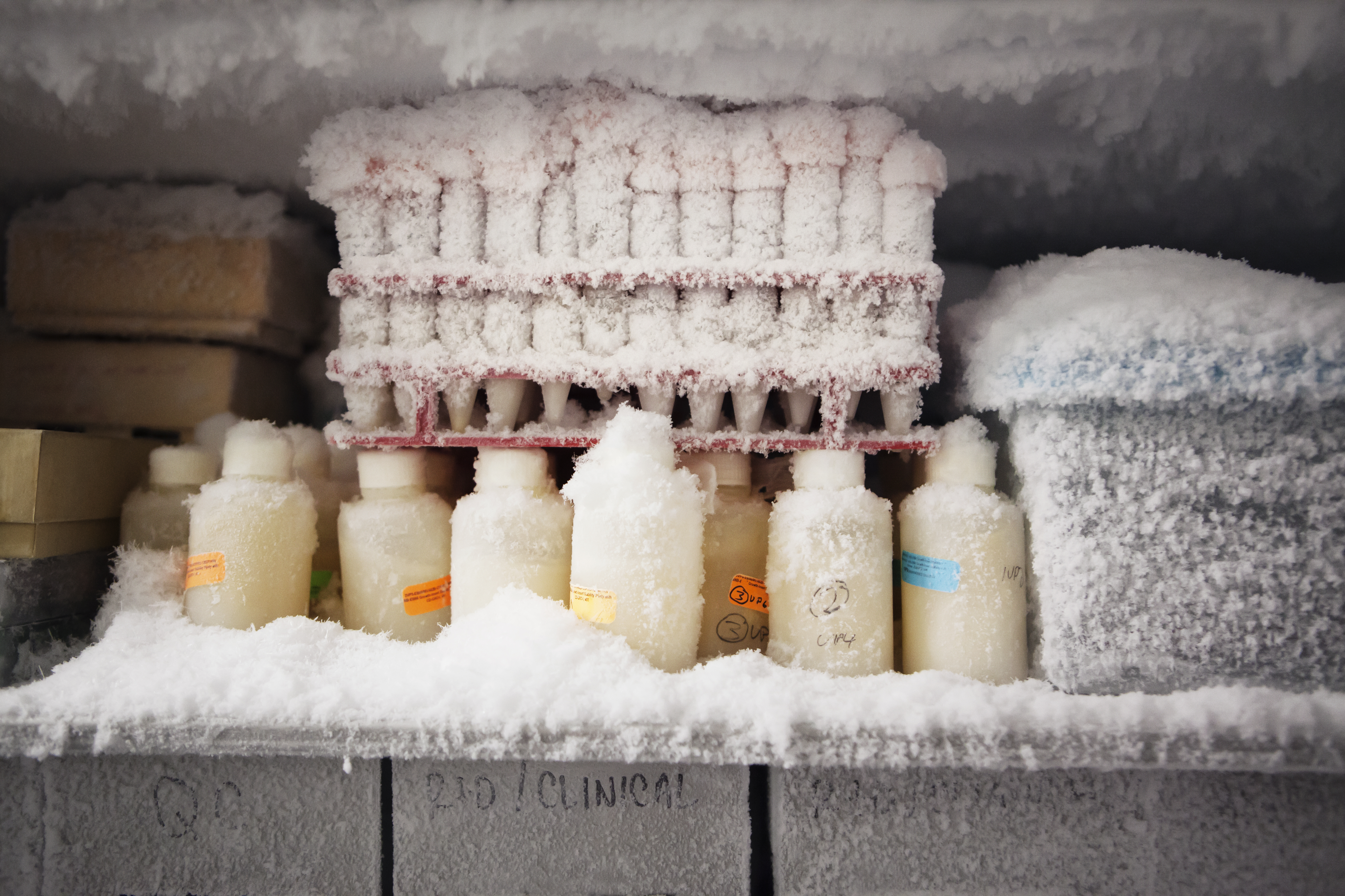 test-tubes-in-fridge-lab refrigerator