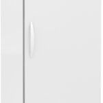 A tall, white commercial refrigerator with a single door, handle on the left, a digital temperature display reading -40°C, vents at the bottom, and wheels. The ABS logo is at the top left; a green leaf symbol appears near the lower right corner.